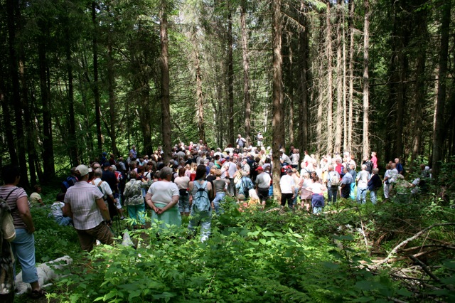 Julsruddalen