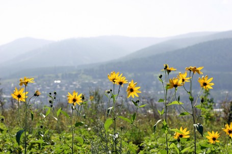 Day in the mountains