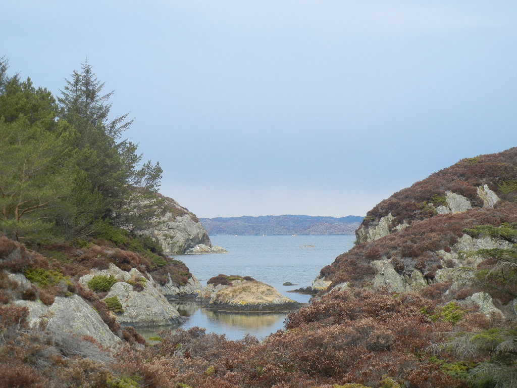 Skjærgård