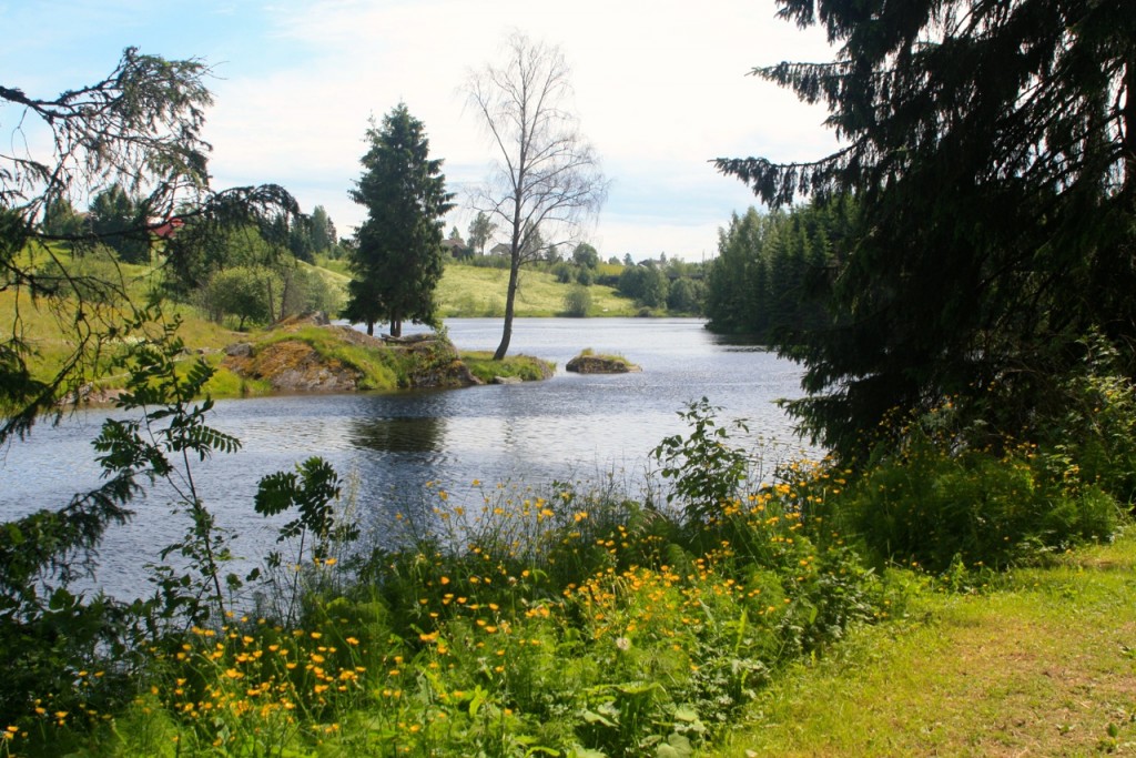 Andelva
