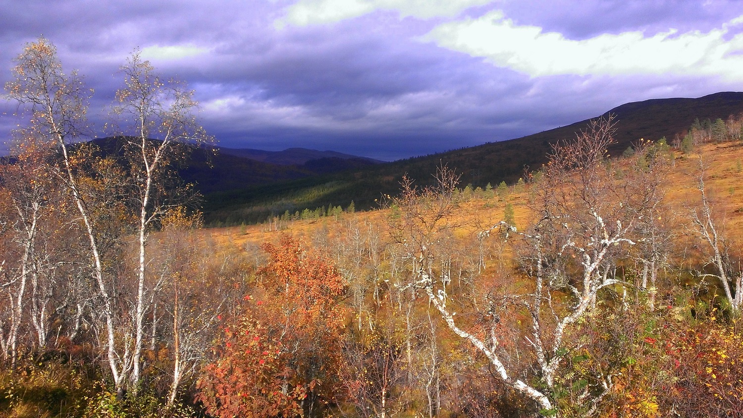 WP_20131006_015