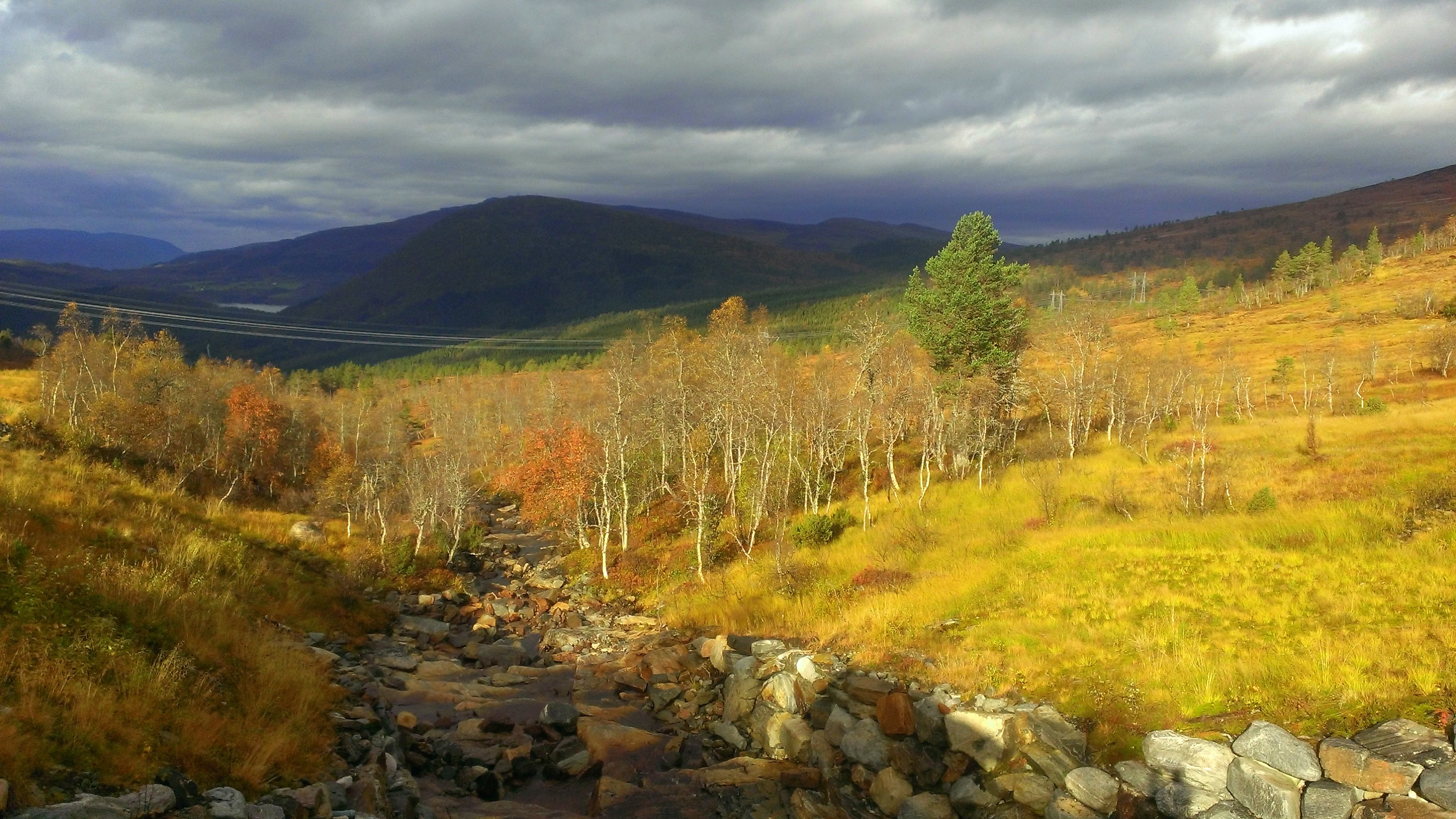 WP_20131006_020