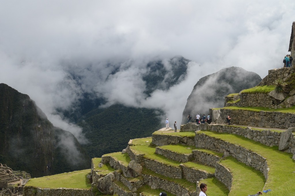 DSC_0719 (2)
