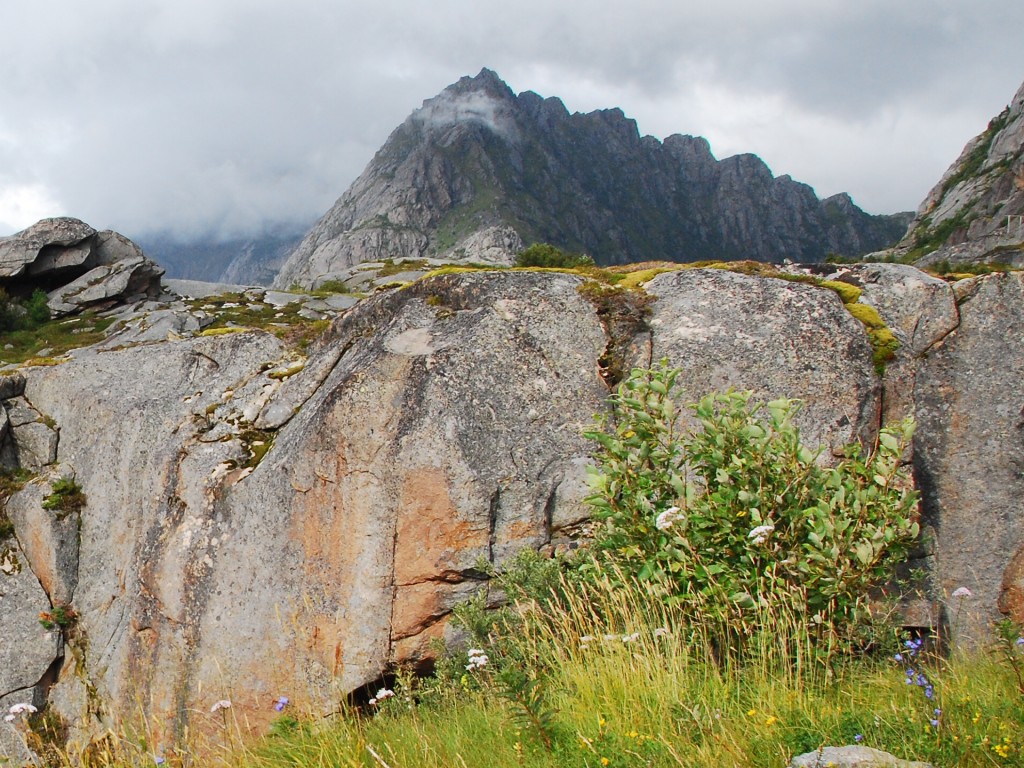 CSC_7296 Lofoten