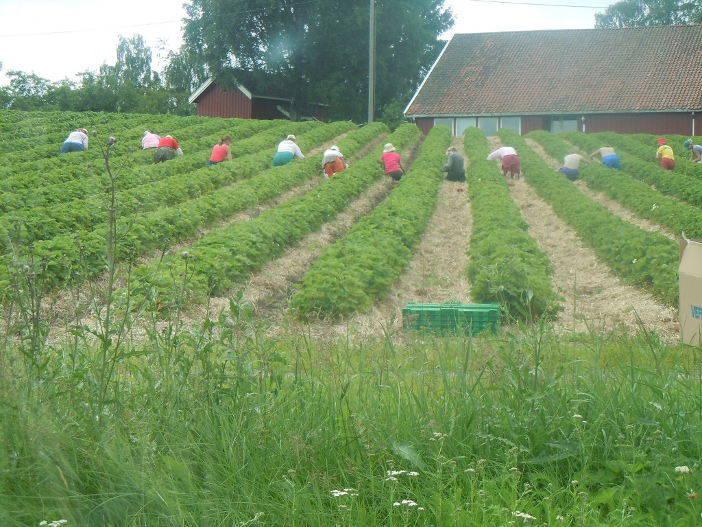 DSCN4439