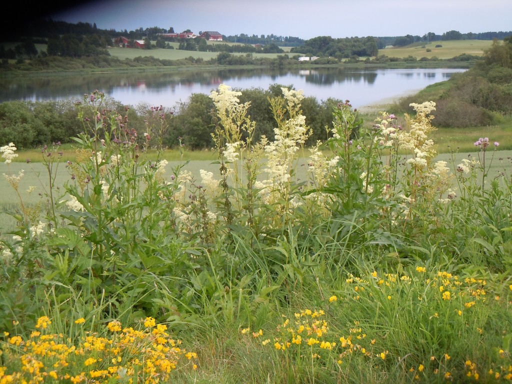 DSCN4698