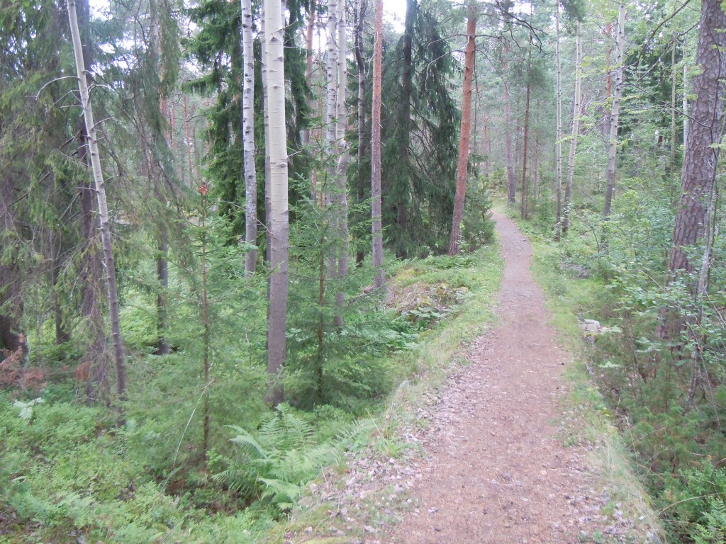 DSCN4723