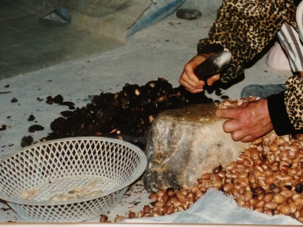 Kvinnene deler en og en sten for hånd. Det er de små, hvite kjernene i plastfatet oljen utvinnes fra.