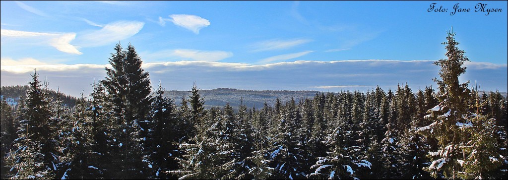 Noen hundre meter fra hjemmet mitt, finner jeg skog, himmel og hav. Til og med fisker kan man se.