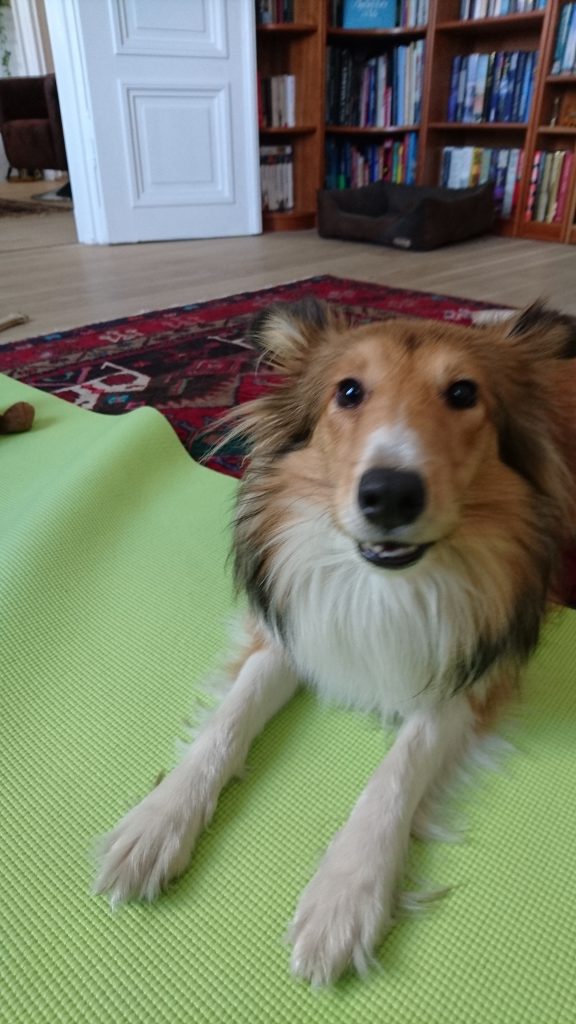 Stella