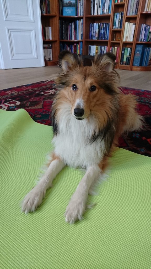 Perfect sphinx!