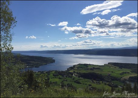 Jeg håper jeg får anledning til å gå mange turer til Branbukampen i sommer.