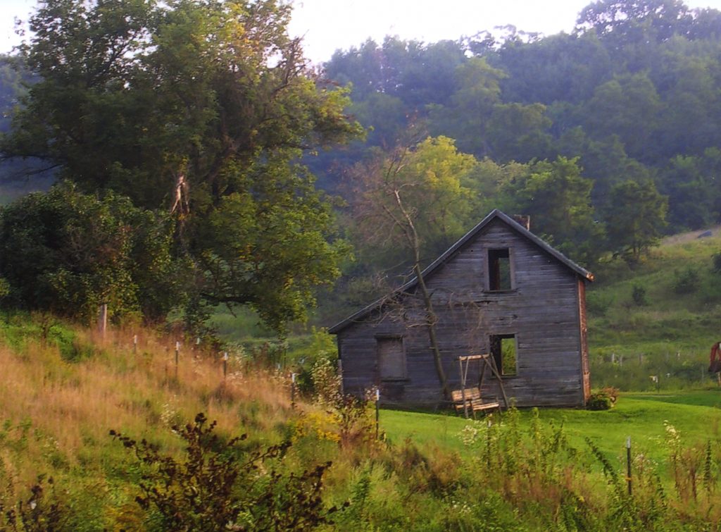 Vilt i Wisconsin