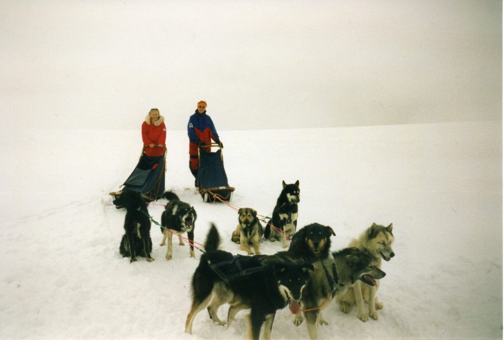 Polar hunder005_
