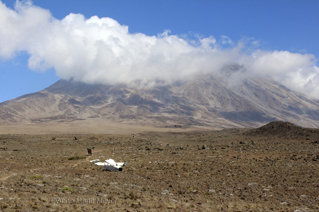 Kilimanjaro