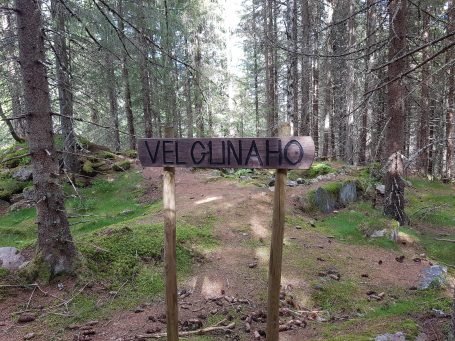 Restene av en gammel stue midt inni skogen.