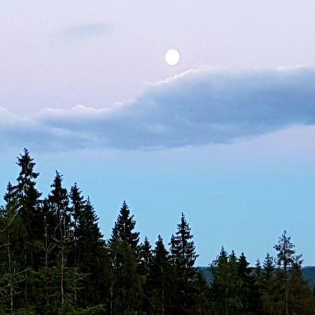 Nydelige Finnskogen.