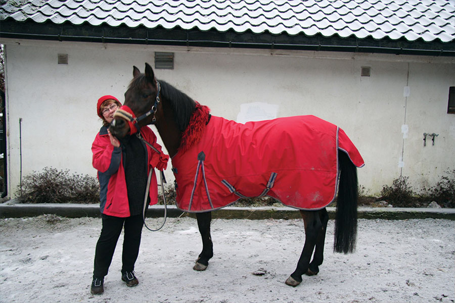 Juleklem til Donna