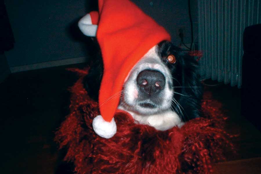 Emma ønsker god jul!