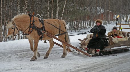 annikki_slede1